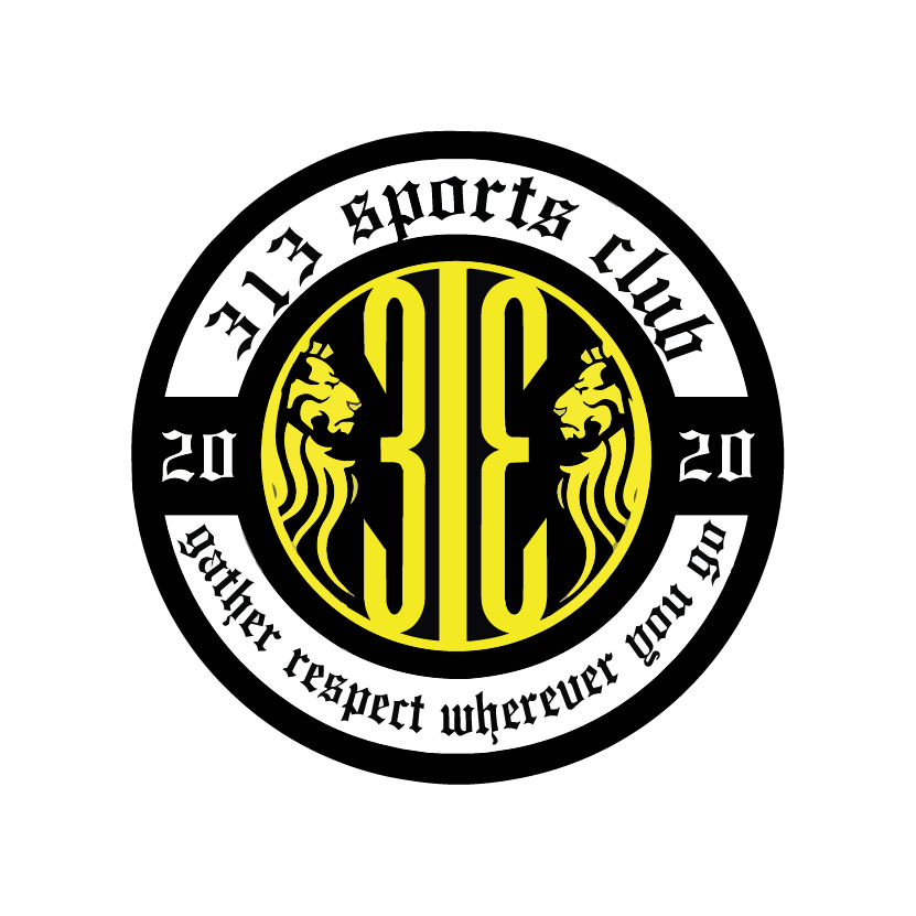 313 Sport Club logo